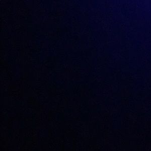 Meet your Posher, Lilly